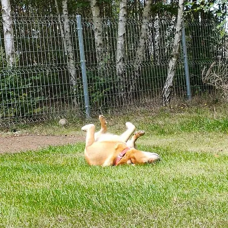 Prázdninový dům Sloneczna Polana Karolina *