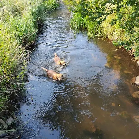 Sloneczna Polana Slajszewo Domek Karolina