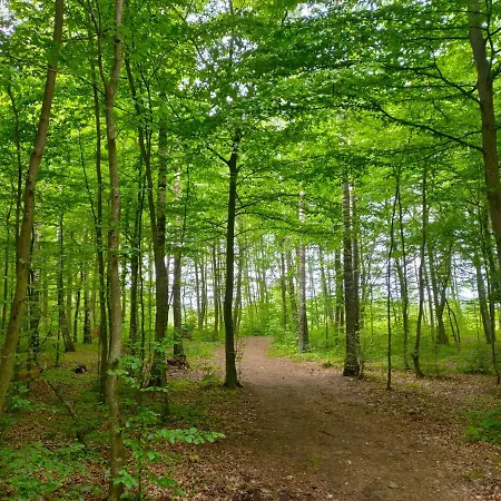 Sloneczna Polana Slajszewo Domek Karolina * Slajszewo