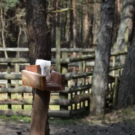 Sloneczna Polana Slajszewo Domek Karolina Slajszewo